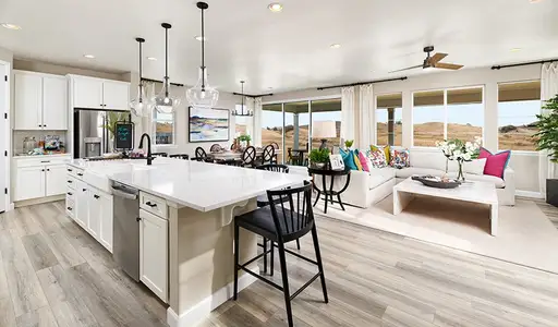 Maple Ridge by Richmond American Homes in Palmetto - image