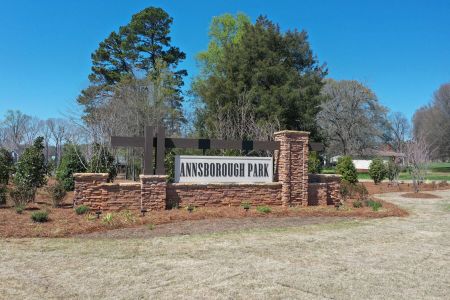 Annsborough Park by M/I Homes in Concord - photo 4 4