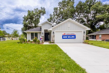 Country Way South by Adams Homes in Newberry - photo 0