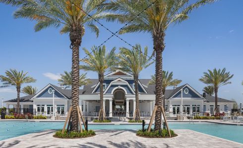 Palmera 25