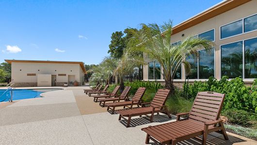 Lively Ranch Emerald by D.R. Horton in Georgetown - photo 82 82