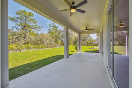 Royal Highlands by Vitale Homes in Brooksville - photo 19 19