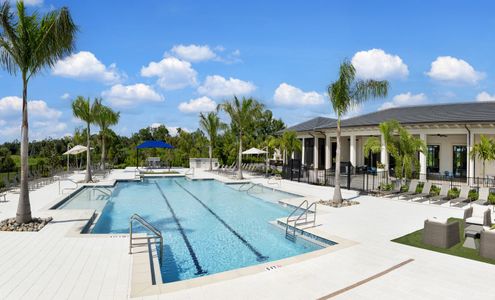 Vistera of Venice by Neal Communities in Nokomis - image 19