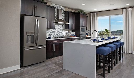 Cityscape at Haskins Station by Richmond American Homes in Arvada - photo 13 13