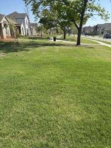 Heritage Park by Brightland Homes in Garland - photo 31 31