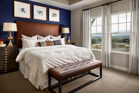 Trailside at Cottonwood Creek by David Weekley Homes in Colorado Springs - image 5
