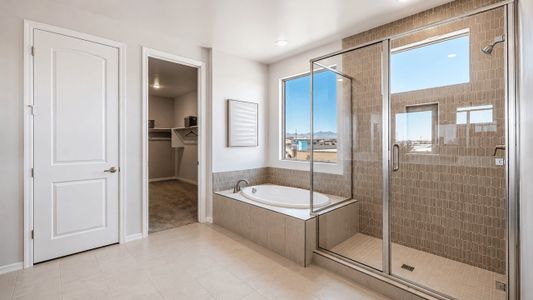 The Grove at El Cidro by William Ryan Homes in Goodyear - image 17
