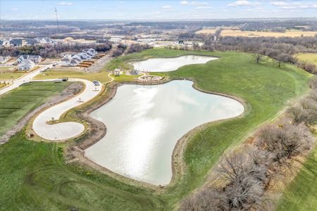 Parks of Aledo by Our Country Homes in Aledo - photo 2 2