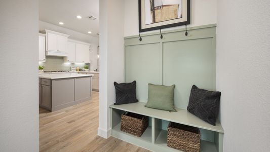 Juniper Springs 45' 13