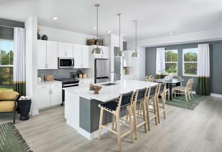 Apex at Seminole Heights by David Weekley Homes in Tampa - photo 21 21