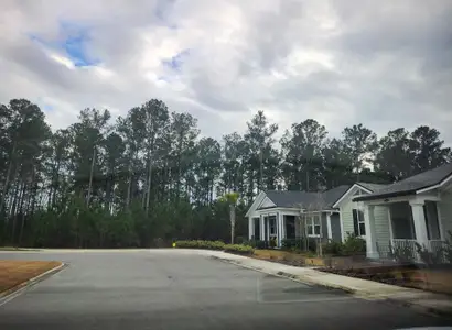 Wildlight by Dostie Homes in Yulee - photo 3 3