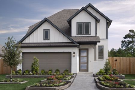 The Parklands by Coventry Homes in Schertz - photo 3 3