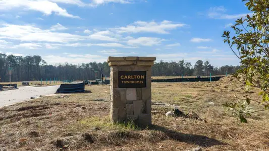 Carlton by D.R. Horton in Douglasville - image