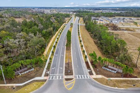 Berry Bay by M/I Homes in Wimauma - image 11
