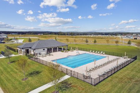 Hilltop Point by M/I Homes in Dade City - photo 54 54