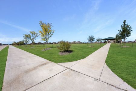 Stone River Glen 50s 57