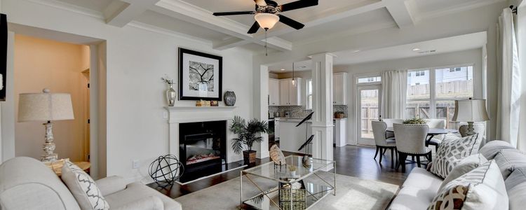 Shoals Crossing by Rocklyn Homes in Conyers - photo 7 7