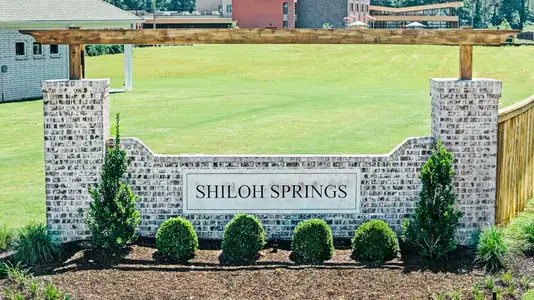 Shiloh Springs by D.R. Horton in Jackson - image