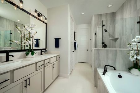 Mayfair 50' by Coventry Homes in New Braunfels - image 8