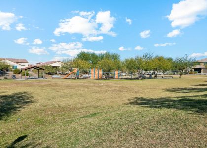 North Copper Canyon by Century Communities in Surprise - image 19