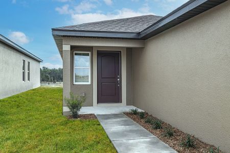 Trilby Crossing by LGI Homes in Brooksville - photo 9 9