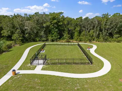 Gardenia Reserve by Mattamy Homes in Apopka - photo 5 5