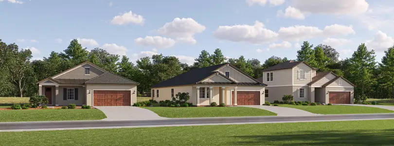 Prosperity Lakes Active Adult: Active Adult Manors 1