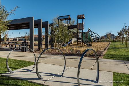 Union Park at Norterra by David Weekley Homes in Phoenix - photo 11 11