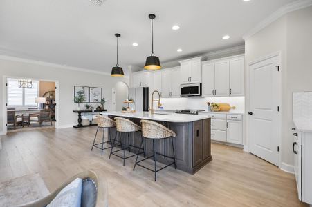 Matanzas Cove by SeaGate Homes in Palm Coast - photo 29 29
