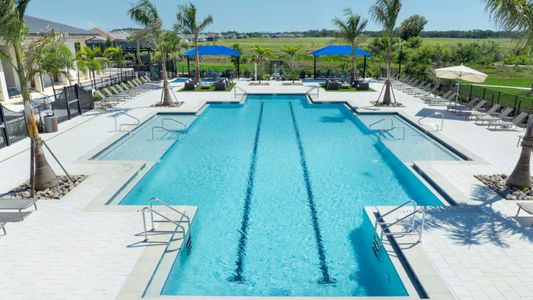 Vistera of Venice by Neal Communities in Nokomis - image 15
