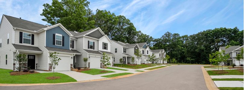 The Vines: Timber by Lennar in Charlotte - photo 0