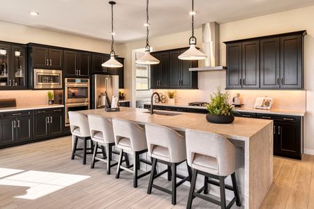 Canastero at Waterston Central by Tri Pointe Homes in Gilbert - photo 25 25