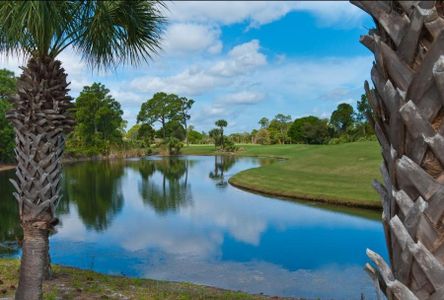 Bent Pine Preserve by GHO Homes in Vero Beach - photo 7 7