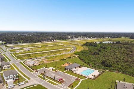 Cobblestone by M/I Homes in Zephyrhills - photo 49 49