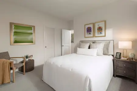 Escondido by Coventry Homes in Magnolia - image 16