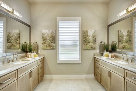 Chateau Collection - Freedom at Anthem 11