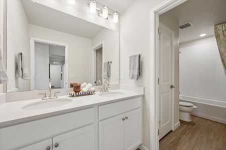 Alpine Collection at Brighton Crossings 12