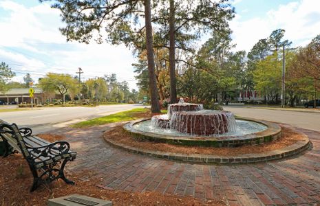 Sanctuary Cove at Cane Bay by Centex in Summerville - photo 12 12