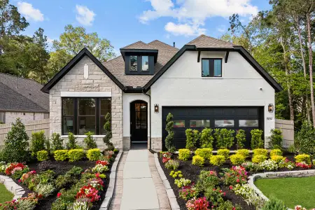 ARTAVIA 45' Homesites by David Weekley Homes in Conroe - image 3