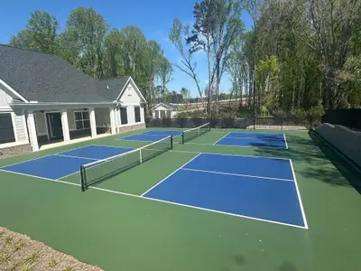 The Orchards of Coal Mountain - Active Adult 55+ by The Orchards Group in Cumming - image