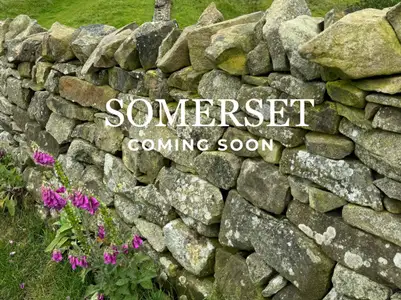 Somerset by Century Communities in Hockley - image