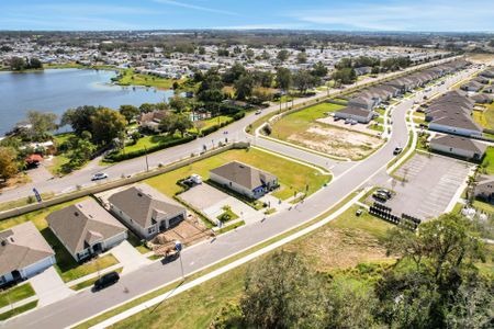 Hammock Reserve by Dream Finders Homes in Haines City - photo