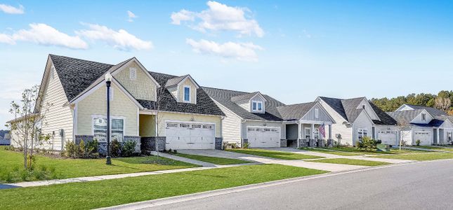 Piney Point at Brunswick Forest by Lennar in Leland - image