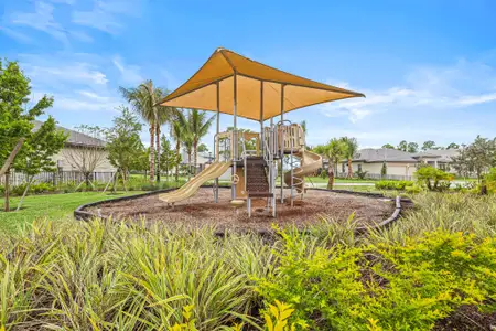 L'Ambiance at Avenir by Kolter Homes in Palm Beach Gardens - image 2