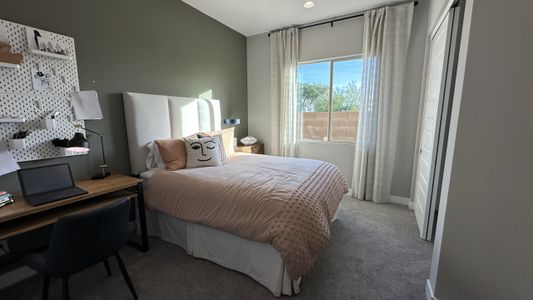 Stonehaven Expedition Collection 13