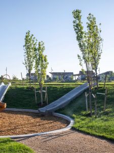 Painted Prairie by Tri Pointe Homes in Aurora - image