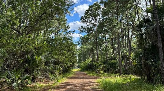 The Timbers at Everlands: The Grand Collection 80