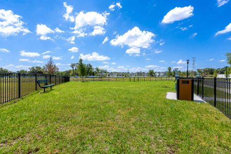 Shenandoah Reserve by Hartizen Homes in Orlando - image 14