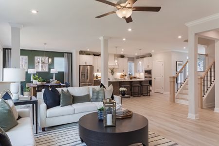 Olive Ridge – The Park Collection by David Weekley Homes in New Hill - photo 26 26