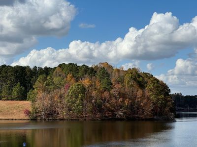 Westbriar Woods Single Family Homes by Stanley Martin Homes in Spartanburg - image 14